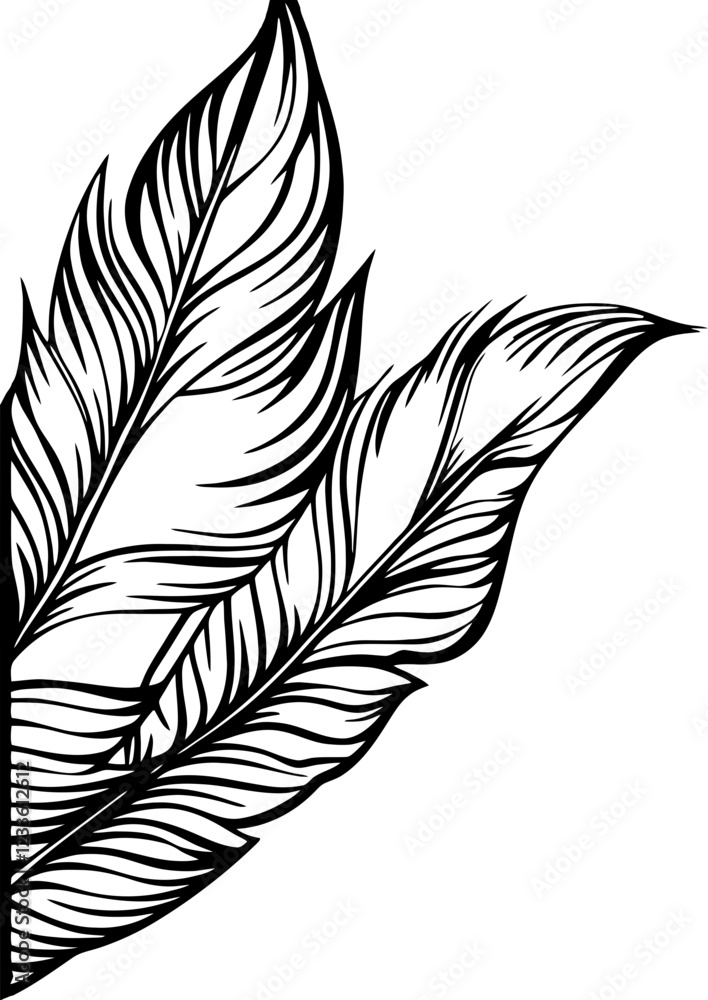 Obraz premium Handdrawn tropical flower corner border