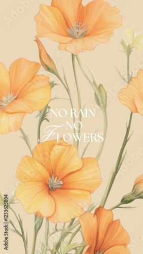 Wallpaper Mural No rain no flowers quote Facebook story template Torontodigital.ca