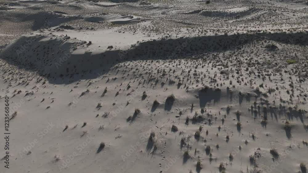 Drone-Slow three quarter down angle tracking and following footsteps in the sand dunes on the Oregon coast near Sandlake Drone-Slow three quarter down angle tracking and following footsteps in the sand dunes on the Oregon coast near Sandlake