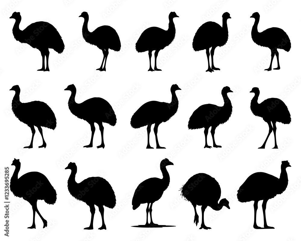 Obraz premium EMU SILHOUETTE ON WHITE BACKGROUND