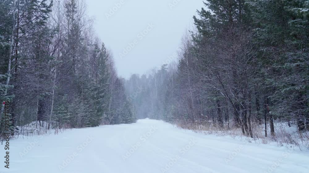 A road leading deep into the winter forest. Snowfall large flakes of snow are falling in a snowy forest. A snowy winter day. A road leading deep into the winter forest. Snowfall large flakes of snow are falling in a snowy forest. A snowy winter day.