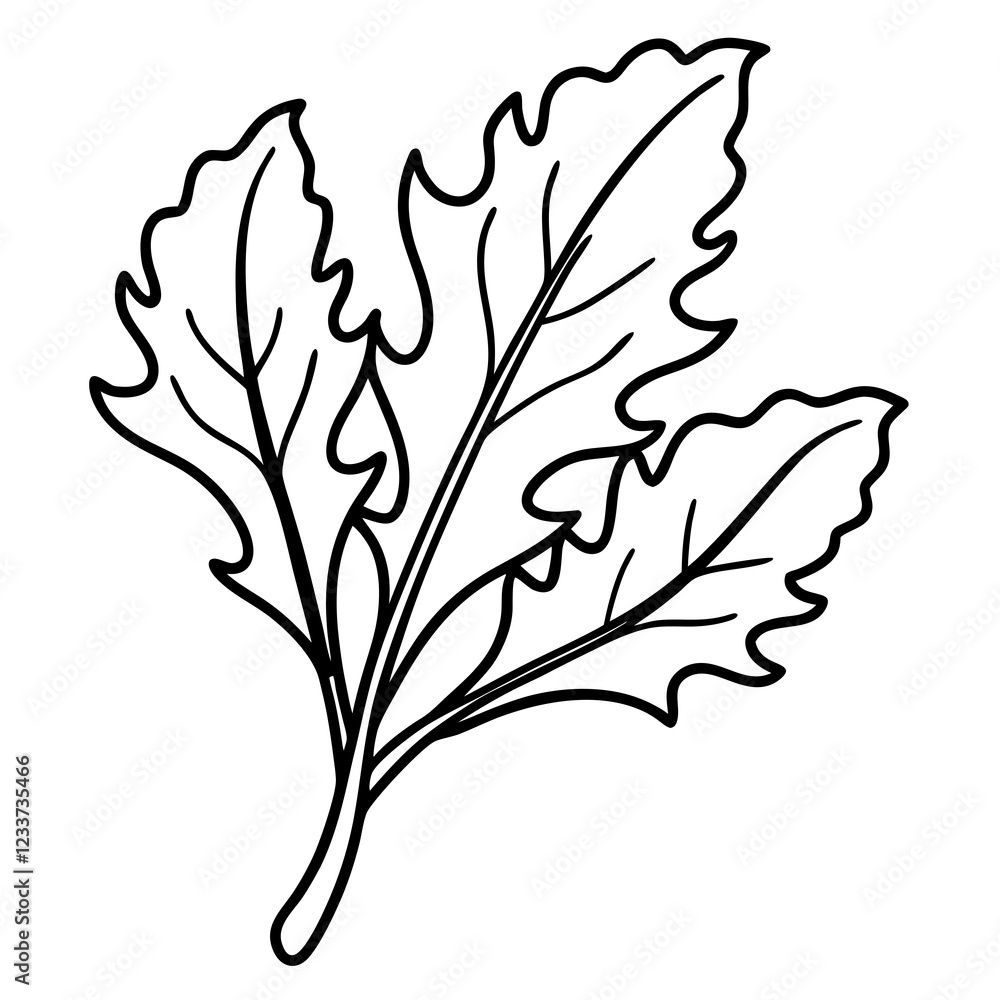 Arugula in One Line Vector Art Design Arugula in One Line Vector Art Design