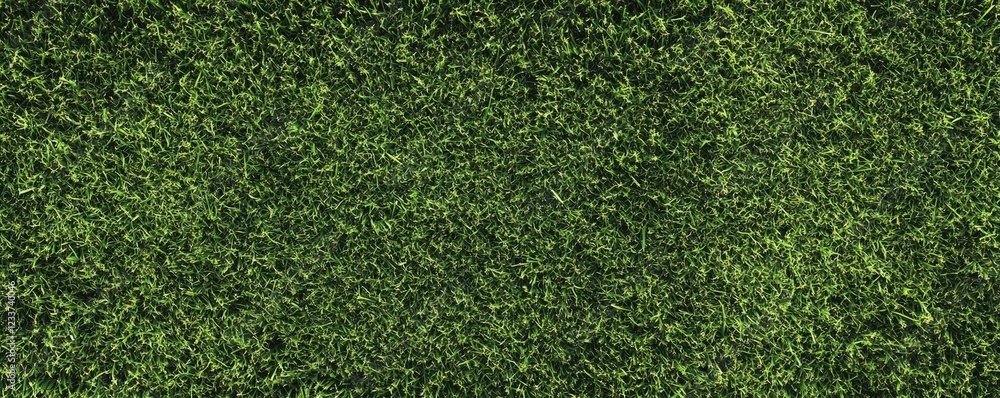 Obraz premium Endless expanse of lush green grass with vibrant texture, suitable as a natural backdrop or grassy ground for creative projects. Adds depth and serenity to any design.