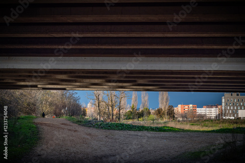 campo en invierno con arboles de hojas amarillas photo