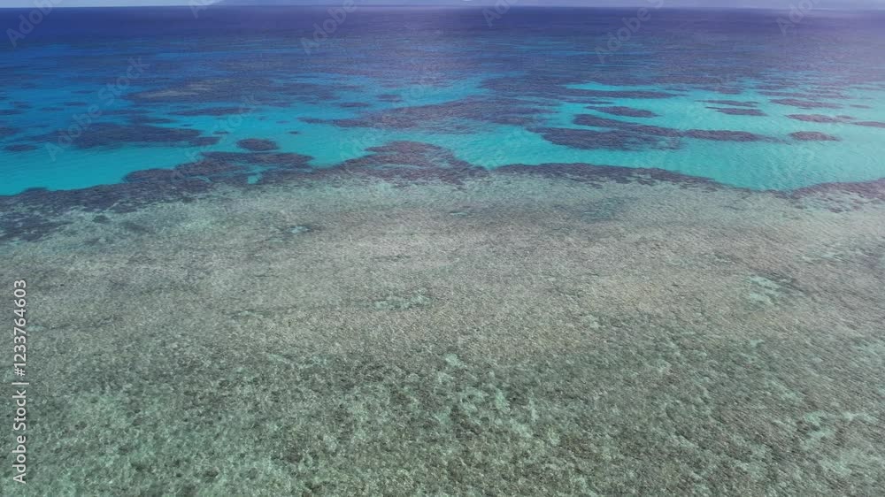 Aerial drone shot of a boat floating on crystal-clear shallow waters, revealing vibrant coral reefs below. Perfect for travel, marine, and tropical paradise visuals. Aerial drone shot of a boat floating on crystal-clear shallow waters, revealing vibrant coral reefs below. Perfect for travel, marine, and tropical paradise visuals.