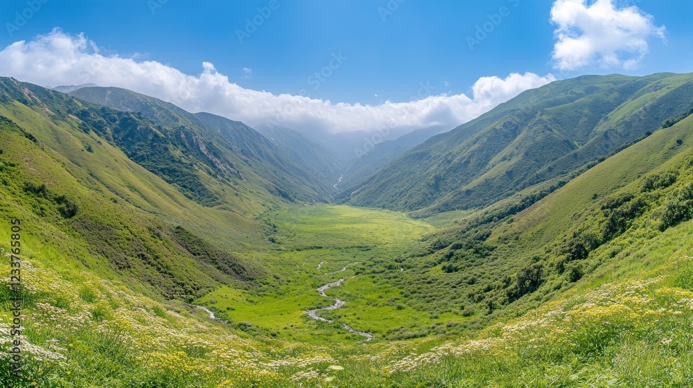Panoramic view of a lush green valley nestled between mountains, a river meandering through the meadow, under a vibrant blue sky with fluffy clouds. Panoramic view of a lush green valley nestled between mountains, a river meandering through the meadow, under a vibrant blue sky with fluffy clouds.
