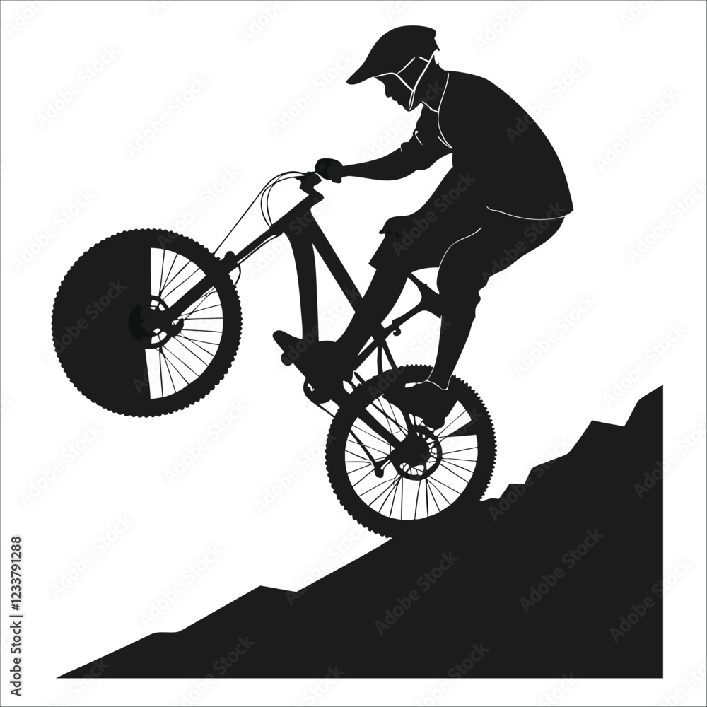 Fototapeta premium life cycle vector