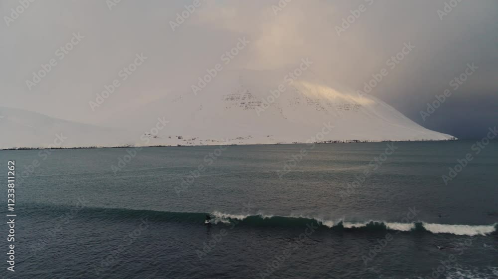 Aerial descend to Icelandic coastline with crashing waves as surfer takes off pumping and carving along face, water meeting snow covered Arctic shores Aerial descend to Icelandic coastline with crashing waves as surfer takes off pumping and carving along face, water meeting snow covered Arctic shores