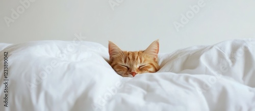 Orange tabby cat resting on a white duvet with eyes closed Copy Space
