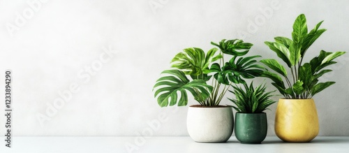 Indoor plants in decorative pots on a light background with ample copy space for text placement photo