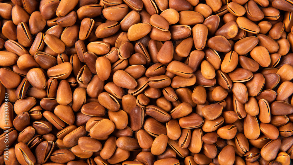 close up of roasted pine nuts background close up of roasted pine nuts background