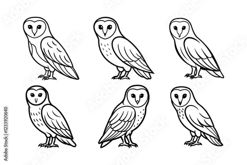 Barn Owl (Tyto alba) animal design, labeled line art vector art illustration.