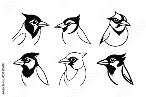 Blue Jay (Cyanocitta cristata) animal design, labeled line art vector art illustration.