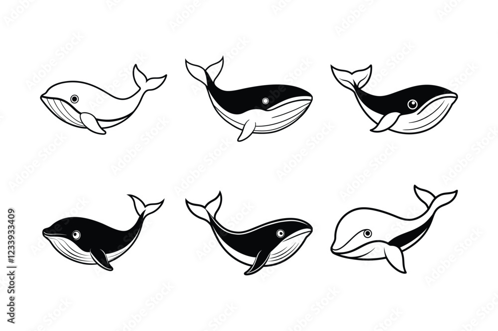 Blue Whale (Balaenoptera musculus) animal design, labeled line art vector art illustration. Blue Whale (Balaenoptera musculus) animal design, labeled line art vector art illustration.