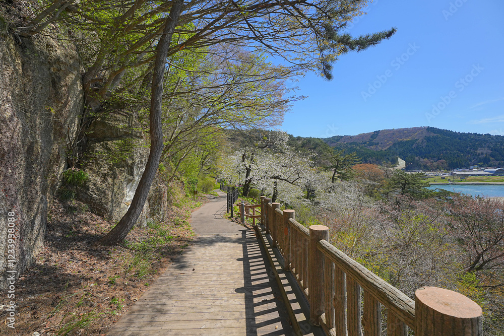 きみまち阪県立自然公園 きみまち阪県立自然公園