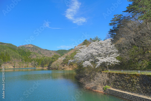 岩神ふれあいの森