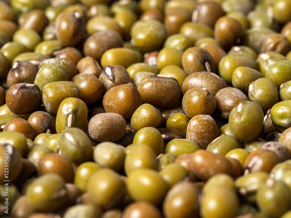 Pattern of the mung bean, close-up, macro photography Pattern of the mung bean, close-up, macro photography