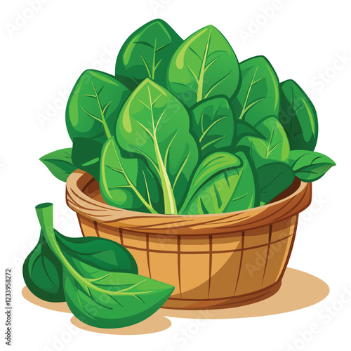 Bunch of fresh spinach close-up. Green raw spinach leaves spinach for farm market, vegetarian salad recipe design. vector illustration in flat style