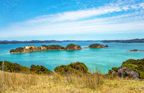 Urupukapuka Island, Bay of Islands, North Island, New Zealand, Oceania. photo