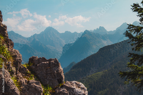 Fototapeta Naklejka Na Ścianę i Meble -  Tatry mountains in summer