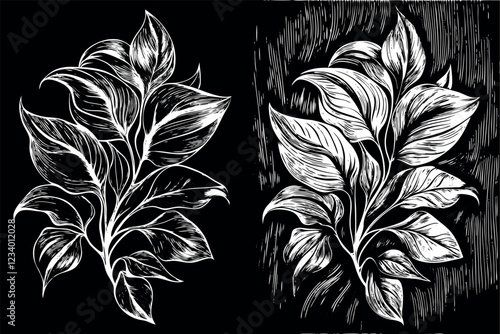 Botanical hand drawn line art and silhouette vector set. Collection of leaf branch, monstera, palm leaves black white drawing contour simple style. Design illustration for print, logo, branding. 