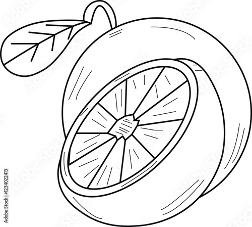 the illustration of two sets of orange fruit that have already been cut and not.