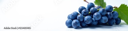 Wallpaper Mural Cluster of plump, blue wet grapes on white backdrop , object, clean Torontodigital.ca