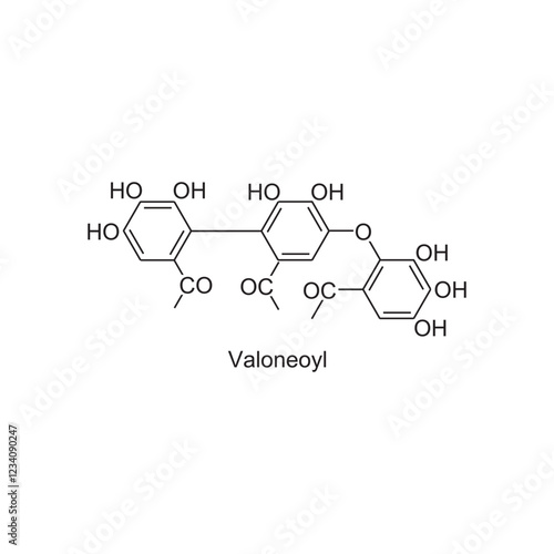 Valoneoyl skeletal structure.Tannin compound schematic illustration. Simple diagram, chemical structure.