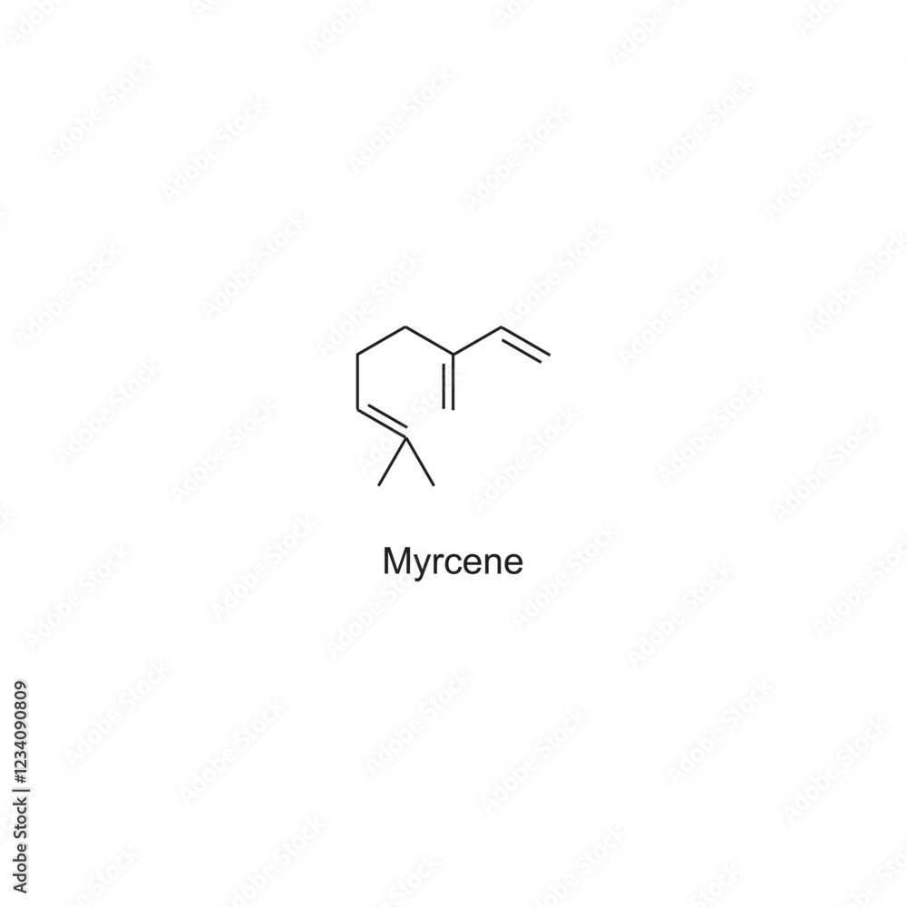 Myrcene skeletal structure.Terpene compound schematic illustration. Simple diagram, chemical structure. Myrcene skeletal structure.Terpene compound schematic illustration. Simple diagram, chemical structure.