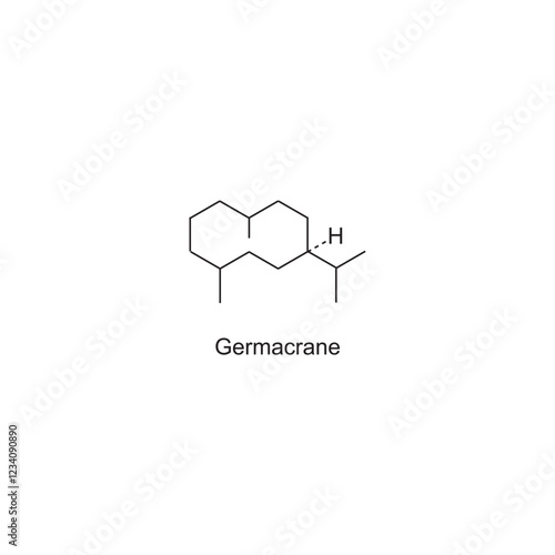 Germacrane skeletal structure.Sesquiterpene compound schematic illustration. Simple diagram, chemical structure.