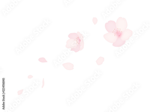 舞う桜の花と花びらのイラスト　春