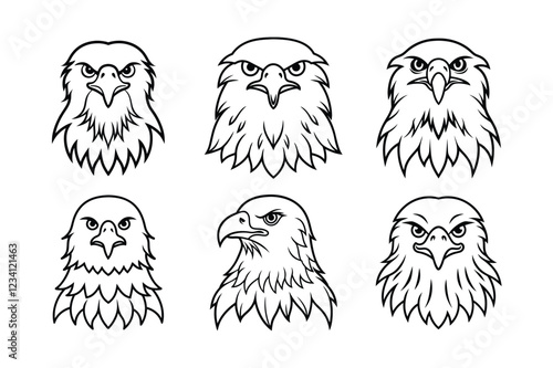 Golden Eagle (Aquila chrysaetos) animal design, labeled line art vector art illustration.