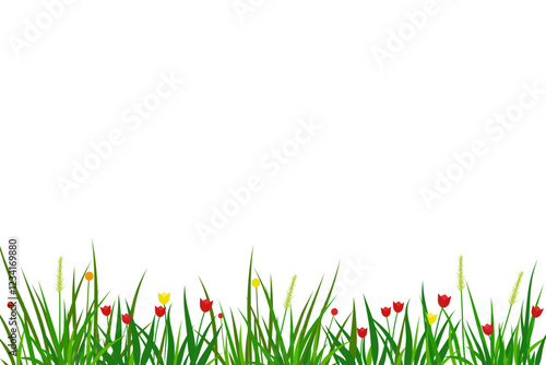 meadow colorful flowers