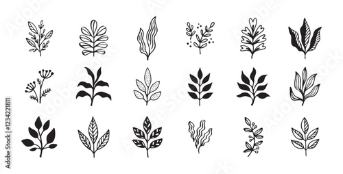 Hand drawn outline doodle floral elements leaf set. Plant leaves vector design