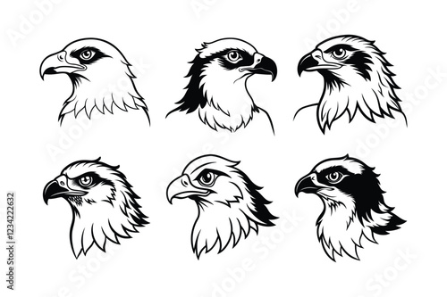 Osprey (Pandion haliaetus) animal design, labeled line art vector art illustration. photo