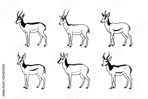 Pronghorn (Antilocapra americana) animal design, labeled line art vector art illustration. photo