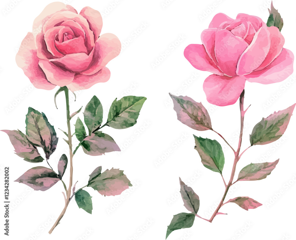 Fototapeta premium set of pink roses