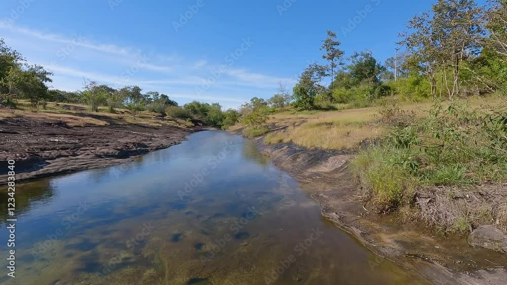 Beautiful Wild Flowers that blooming in field of wild flowers Pha Taem National Park. Ubon Ratchatha, Thailand Beautiful Wild Flowers that blooming in field of wild flowers Pha Taem National Park. Ubon Ratchatha, Thailand