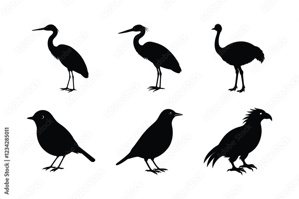 Bundle of Birds vector art Bundle of Birds vector art
