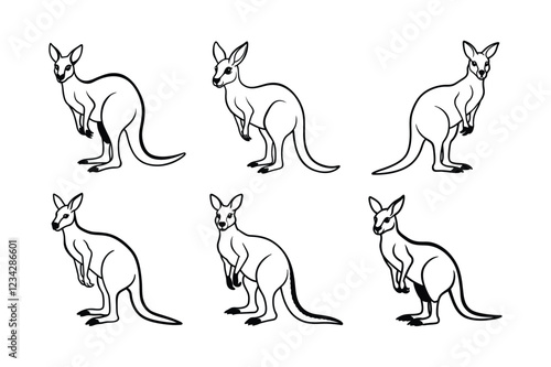 Red Kangaroo (Macropus rufus) animal design, labeled line art vector art illustration.
