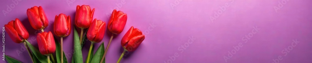 Purple background with bright red tulip bunches, arrangement, garden, colorful Purple background with bright red tulip bunches, arrangement, garden, colorful
