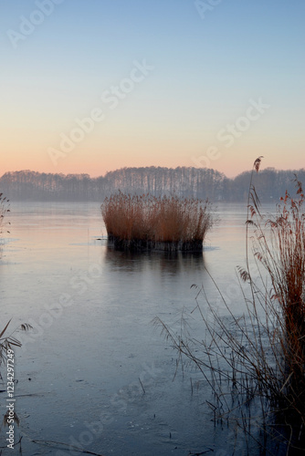 Ponds in Milicz