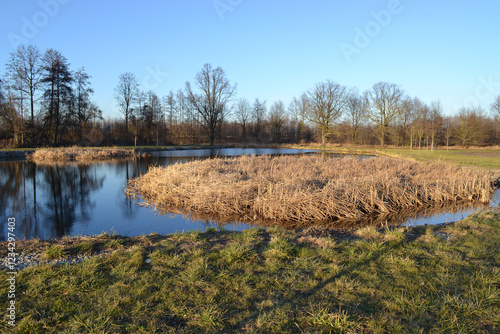 Ponds in Milicz