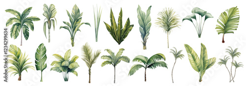 Watercolor set tropical leaves and palm trees - botanical illustration for nature and decor