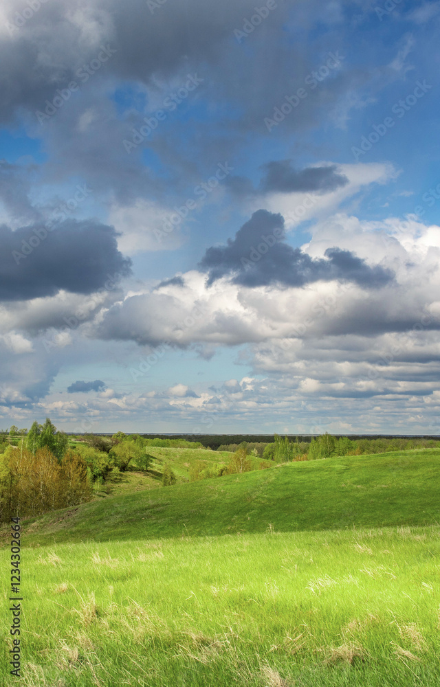 Field of grass with a cloudy sky in the background