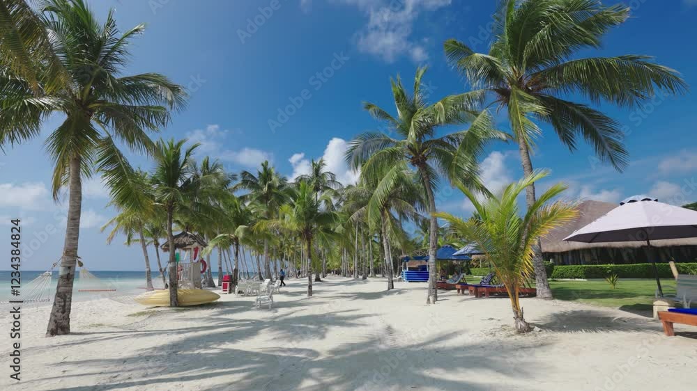 Hammocks, sunbeds, Palm trees and more at Dumaluan Beach Hammocks, sunbeds, Palm trees and more at Dumaluan Beach