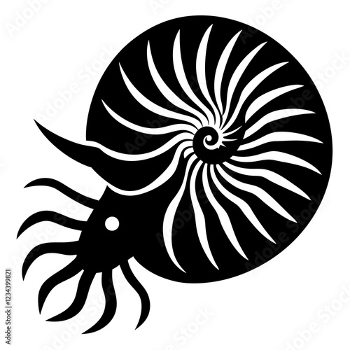 sea animal nautilus