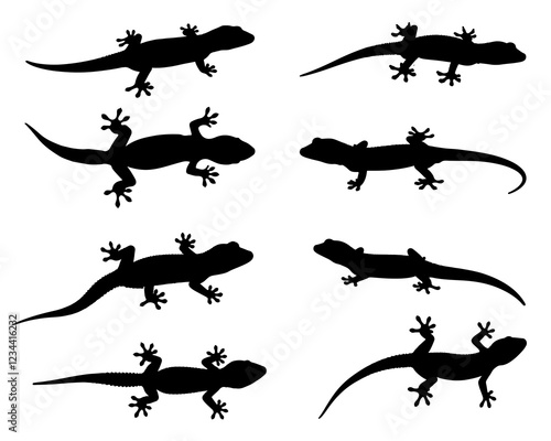 GECKO SILHOUETTE ON WHITE BACKGROUND 