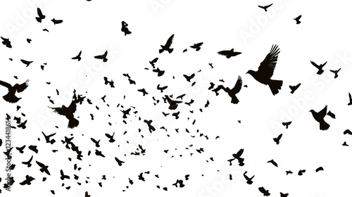 Flying Bird Silhouettes on Transparent Background