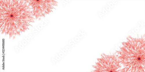 Pink rose flower on white isolated background with clipping path. Closeup. For design. Nature.